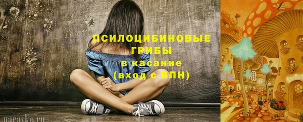 apvp Вязники