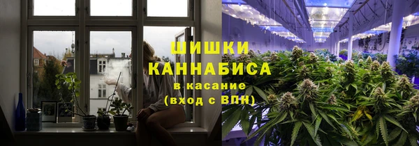 мяу мяу мука Вязьма