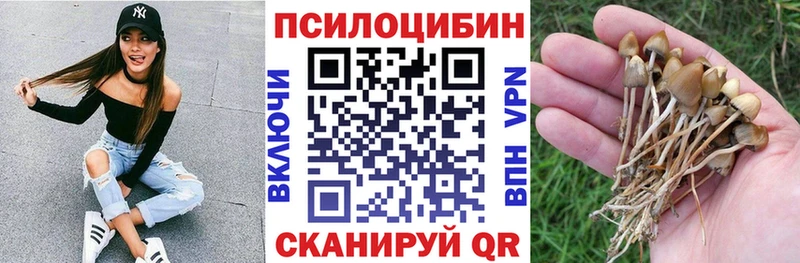 Галлюциногенные грибы Psilocybe  Павловский Посад 